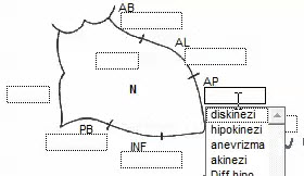 Düşer Menü Örneği